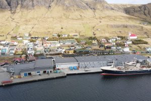 Færøerne: Dem Nordatlantiske stimefisk makrellen landes fortsat i rimelige mængder på Færøerne. foto: Vardin Pelagic