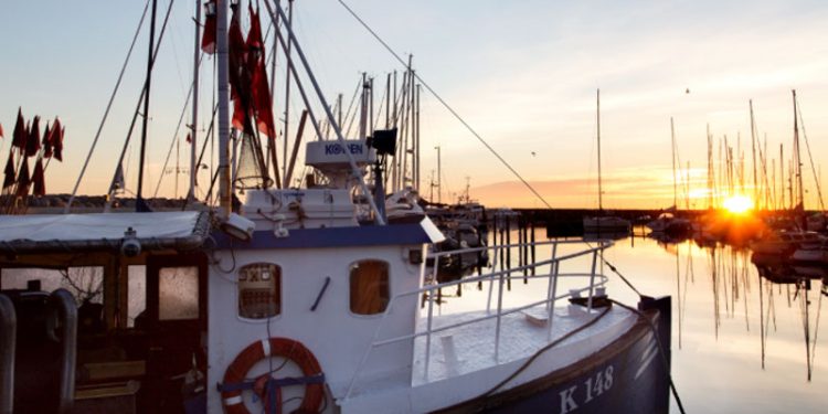 Bliv klogere på den nye Kystfiskerordning  Stemningsbillede fra Vedbæk Havn - K148 Jamik - FSK