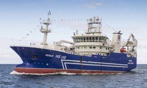 Islandske trawlere lander rekord mange blåhvilling  Foto: »Venus« - HB Grandi