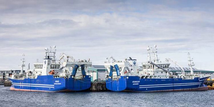 Island tredobler sin lodde kvote  Foto: Venus og det nyeste skib i HB Grandi flåden Vikingur - HB Grandi