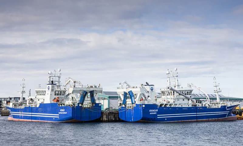 Read more about the article Islandsk Skuffelse: Loddekvoten burde være langt højere