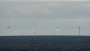 Dette er det eneste danske havvindprojekt i år, og det forventes at have en samlet effekt på 344 megawatt, hvilket kan forsyne mere end 340.000 danske husstande med strøm årligt. foto: Esbjerg Havn