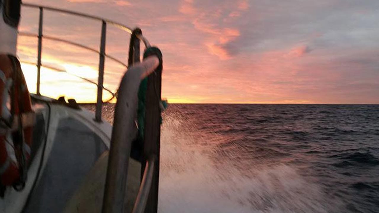 Read more about the article Kystfiskerne foreslår fredning af torsken i gydeperioden