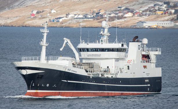 I Vestmanna landede Vestmenningur en last på 300 tons makrel til Vestmanna Seafood foto: Sverri Egholm