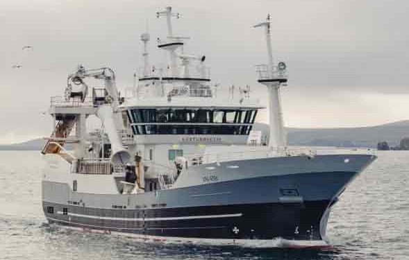 Vesturbúgvin landede i ugen en last på 315 tons guldlaks til Snarfrost i Miðvági, som de har fisket under Færøerne. foto: CG Fiskur.fo