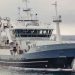 Særligt trawleren Vesturbúgvin har haft god vind i sejlene. Skibet landede i sidste uge en flot last på 270 tons guldlaks til forarbejdningsvirksomheden Snarfrost i Miðvágur. foto: CG-Fiskur.fo