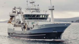 I uge 39 hentede **Vesturbúgvin** og **Vesturvarði** 160 tons makrel i færøsk farvand, som de lossede i Ålesund i Norge foto: Fiskur - Calum Gray