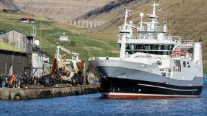 I løbet af den seneste uge landede **Vesturbúgvin** 380 tons guldlaks i Miðvágur til Snarfrost foto: Sverri Egholm