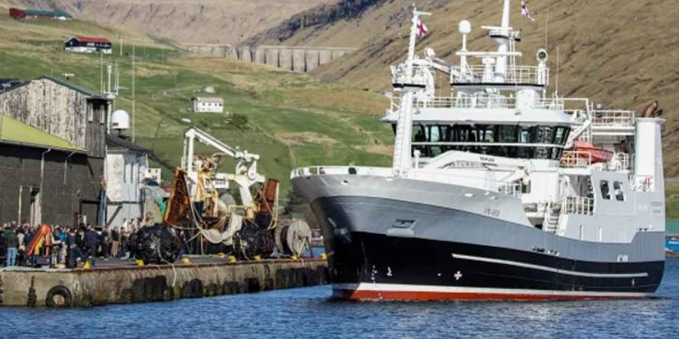 I løbet af den seneste uge landede **Vesturbúgvin** 380 tons guldlaks i Miðvágur til Snarfrost foto: Sverri Egholm