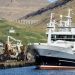 Færøerne: Fabrikken Tavuna i Leirvík modtager guldlaks foto Sverri Egholm