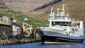 I Tvøroyri landede **Vesturbúgvin** 250 tons makrel til Varðin Pelagic.  foto. Sverri Egholm 