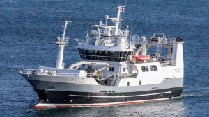 I Miðvágur landede trawleren **Vesturbúgvin** i sidste uge en last på 200 tons guldlaks, som blev leveret til Snarfrost. foto: Kiran J