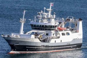I Miðvágur landede trawleren **Vesturbúgvin** i sidste uge en last på 200 tons guldlaks, som blev leveret til Snarfrost. foto: Kiran J