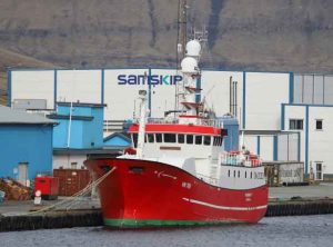 I Kollefjord landede line- og frysefartøjet **Vesturhavið** hele 50 tons fisk, hovedsageligt torsk, som de havde fanget ud for Færøerne. foto: KiranJ