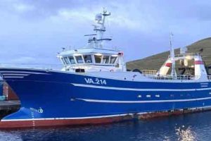 Trawleren Vesturvarði landede i ugen en last på 116.000 pund hvoraf det meste som var i lasten var 100.000 pund torsk. foto fs fiskur.fo