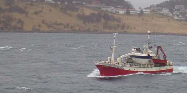 Norges eksport af fisk og skaldyr uændret.  Foto: Vibeke Helene - Fotograf: PeterKj