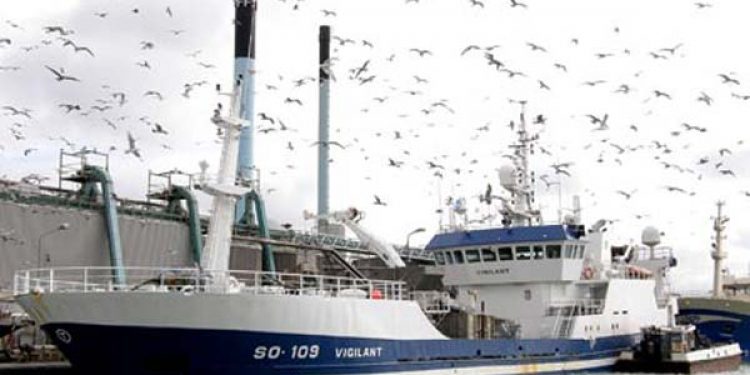 Fiskemelsfabrikkerne får tilført råstof over store afstande.  Foto: Vigilant  Fotograf  HHjerm