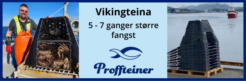 Vikingteina-Proffteiner