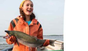 Vildtfanget laks - msc