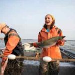 Laks spiller en central rolle i både dansk fiskerikultur og fødevareforbrug. Arten er blandt de mest efterspurgte fisk i Nordeuropa, og den indgår i et bredt udvalg af produkter – fra ferske fileter til røgede og forarbejdede varianter. foto: MSC