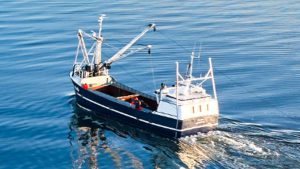 foto: Vilsund Blue