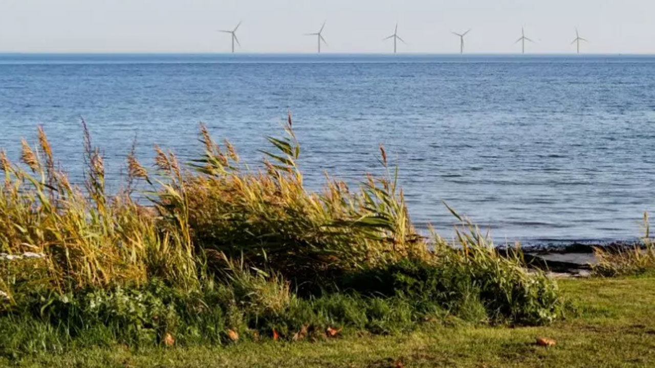 Read more about the article Ny havvindmøllepark etableres nu i Lillebælt