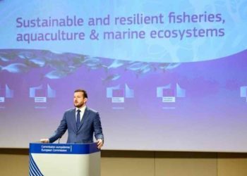 Vision 2040 - EU kommissionen
