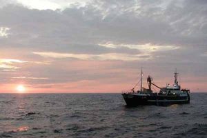 Stormøde om tobis fiskeri. Foto: L455 Lotte Vohnsen Fotograf: HCL