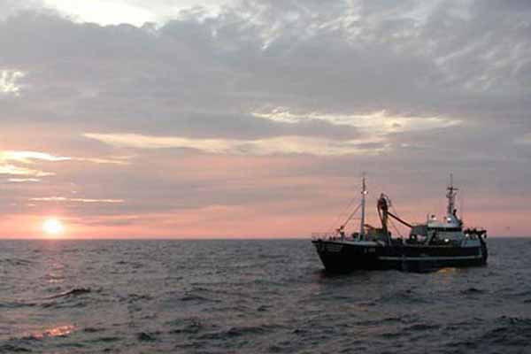 Read more about the article Stormøde om tobis fiskeri