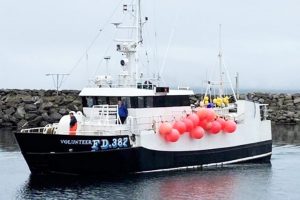 Her landede linekutteren **Volunteer** i sidste uge, med en last bestående af 20 tons foto: FS Fiskur.fo