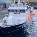 Der har i den forløbne uge været aktivitet i fiskerihavnen i Toftir, hvor linefartøjet »Volunteer« har landet en pæn fangst af kuller efter et fiskeri i det nordatlantiske farvand nord for Færøerne. foto: Fiskur.fo - FS