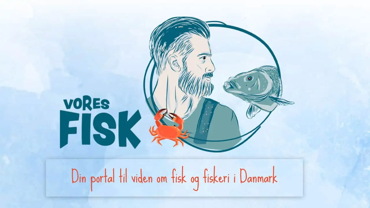 Read more about the article Bliv lidt klogere på dansk fiskeri