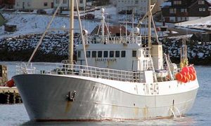 Váðasteinur lander rekordstor fangst af torsk til Toftir