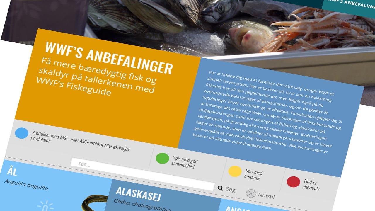 Read more about the article Fiskeguiden fra WWF er interessant læsning