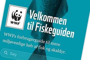 WWFs fiskeguide 2017 dumpes af kystfiskerne   Foto: WWFs Fiskeguide 2017