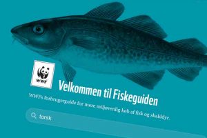 WWF har sin helt egen virkeligheds-forståelse. Foto: Verdensnaturfonden WWF´s fiskeguide