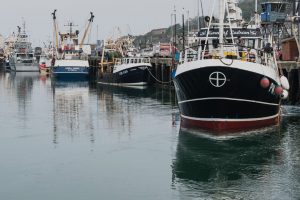 Familie-ejet britisk fiskeriselskab bygger ny krabbebåd foto: Waterdance