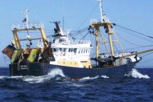 Hollandske og Belgiske fiskere mistænkes for snyd med landingsforpligtelsen foto: RCS