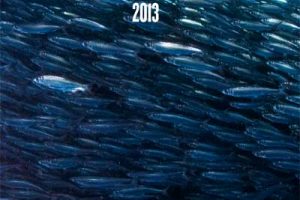 Årsrapport 2013 fra den norske havfiskeflådes organisation. Foto: Årsrapporten fra den norske havfiskeflådes organisation - Fiskebåt