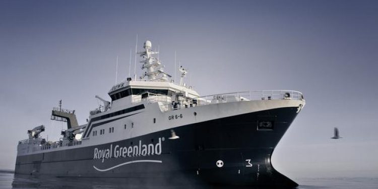 Nyt overskud til Royal Greenland trods udfordringer Foto : Royal Greenland