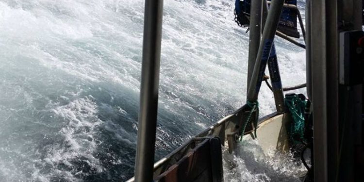 Katastrofal situation for kystfiskerne i Vestlige Østersø.  Arkivfoto: stemningsbillede fra fiskeriet - CSH