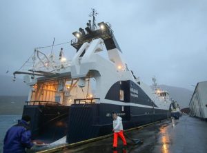 Akraberg landede 920 tons frossen torsk i Fuglefjord