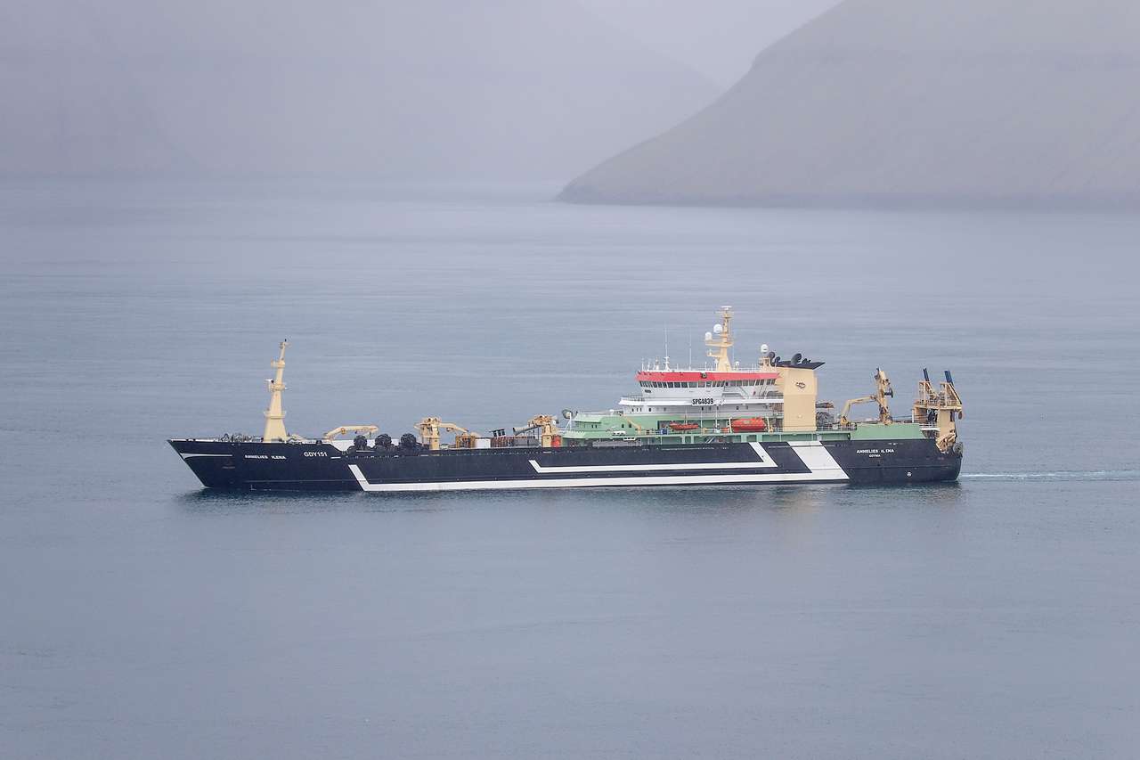 Read more about the article Færøerne: Største enkelt-landing på 7.000 tons blåhvilling til Bergfrost i Fuglefjord