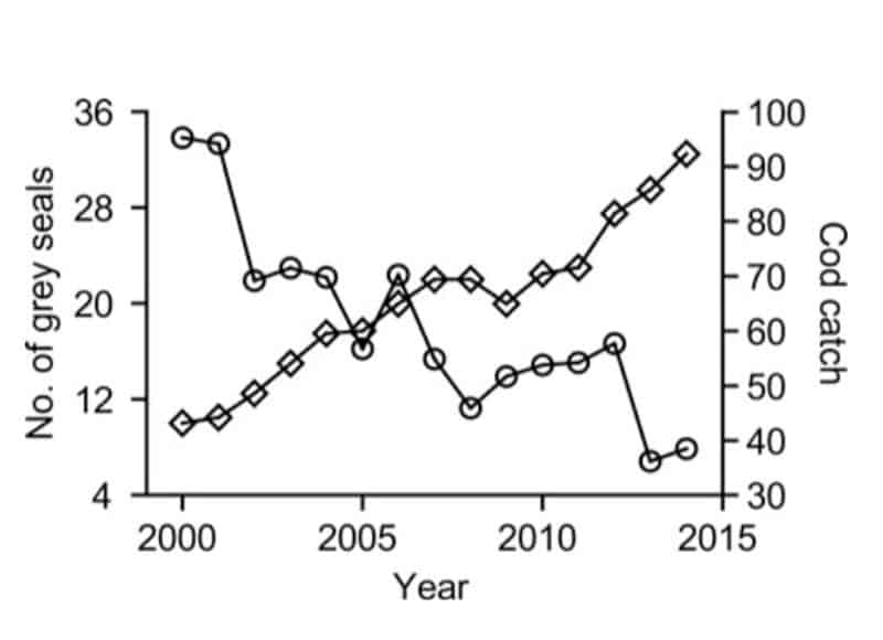 Read more about the article Svensk kystfiskeri er også hårdt ramt af sæler på flere måder