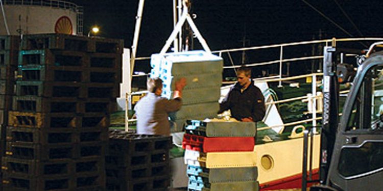 Nyt samarbejde skal løfte fiskeriet i Hirtshals