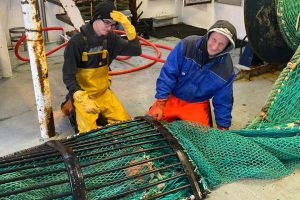 Den 7 mands store besætning + en lærling havde allerede på første dagen af fiskeriet, et sidste slæb på dagen med 5 til 6 tons rødfisk. foto: Kingfisher HM 555