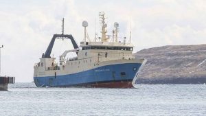 I Klaksvík landede trawleren **Arctic Viking**, som netop er vendt hjem fra en tur i Barentshavet, 540 tons torsk foto: Sverri Egholm