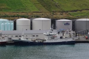 Færøerne: Industritrawlerne fisker vest for Irland og lander til Havsbrun i Fuglefjord på Færøerne
