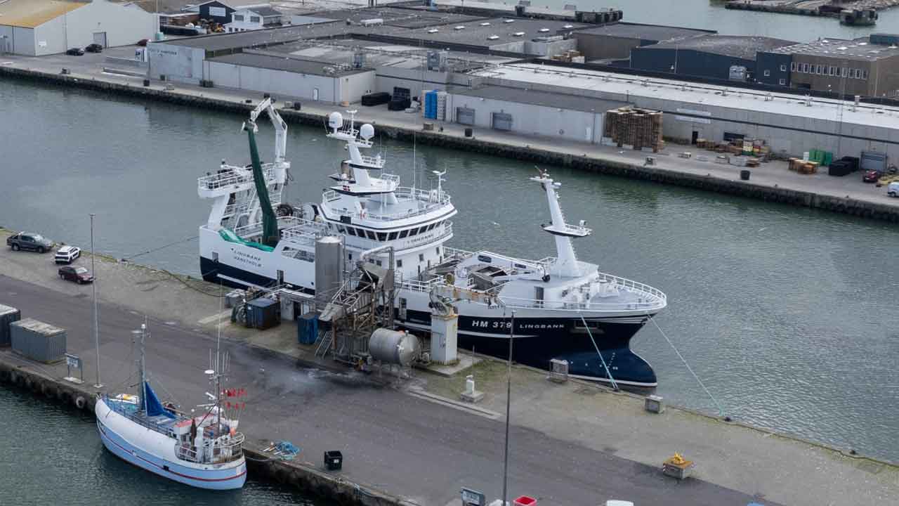 Read more about the article Regeringens CO2-afgift er en ›grøn tsunami-bølge‹ der truer fødevareerhvervet