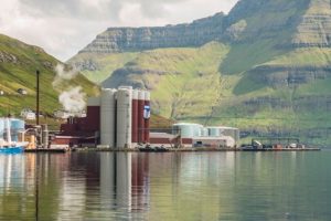Færøsk fiskerilov forhindrer landinger i udlandet  Arkivfoto: Havsbrun